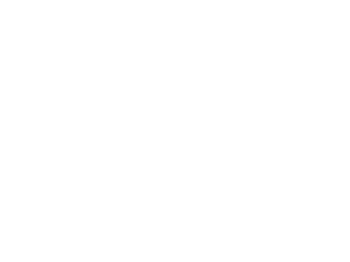 ocean-world-shipbroker-logotipo-blanco-04